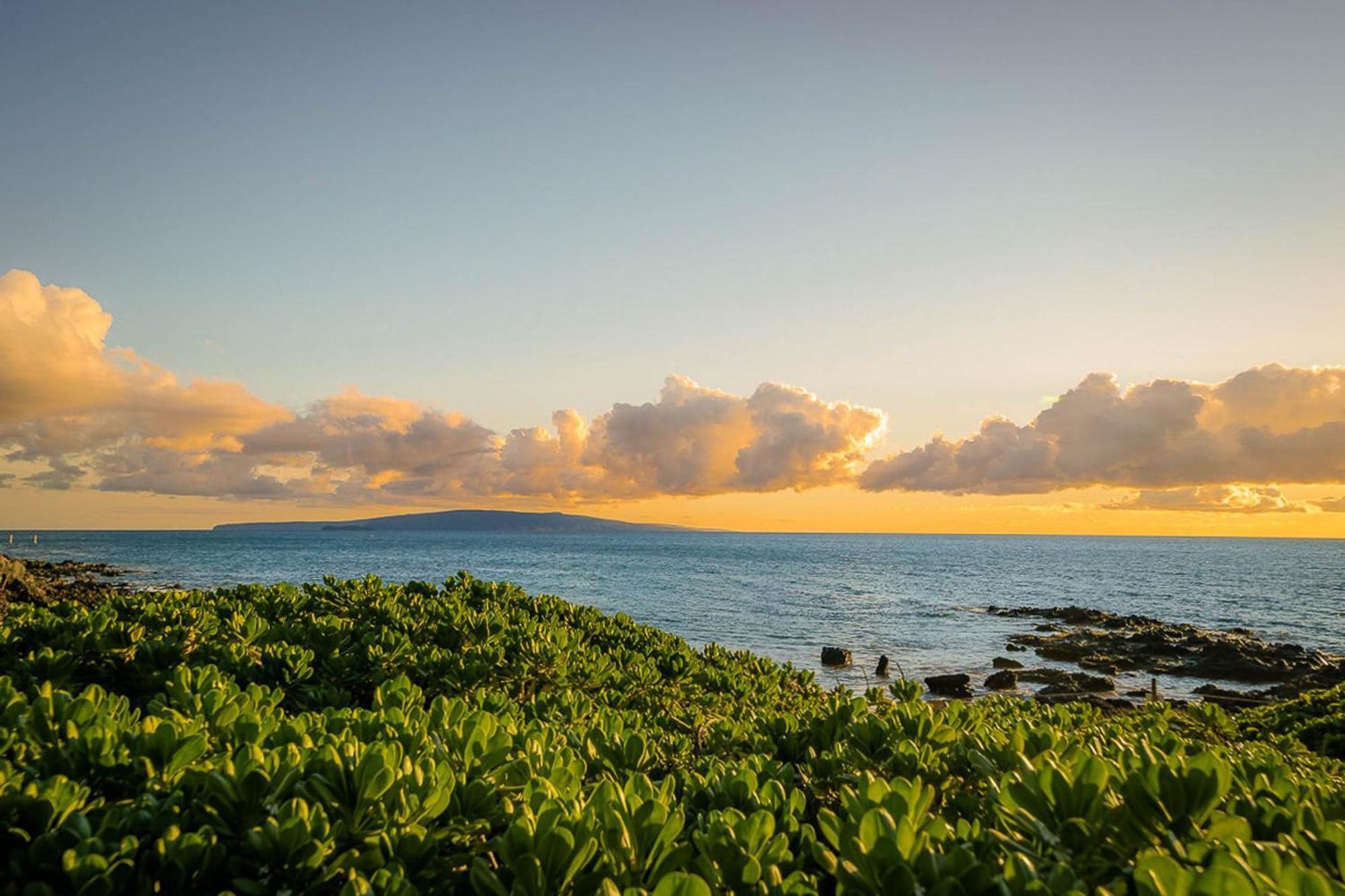Pacific Shores A-209 Kihei Ngoại thất bức ảnh